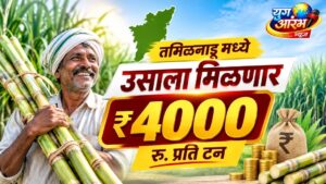 तमिळनाडू मध्ये उसाला मिळणार प्रति टन ४००० रुपये दर